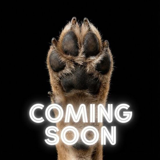 Paw Wax SHOW - DRĪZUMĀ!